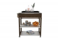 KITCHEN CASTANHAL REF AZ1031 CART WHITE/WALNUT (